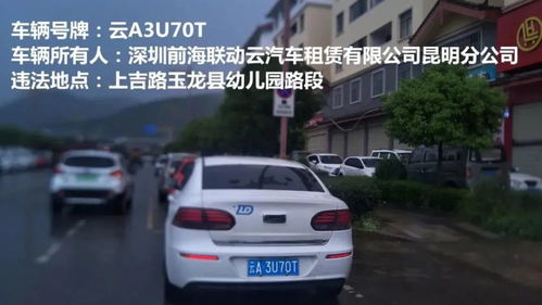 丽江18辆车违停被实名曝光 有奔驰 奥迪 出租车