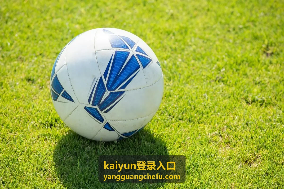 登录操作指南封面 kaiyun登录入口