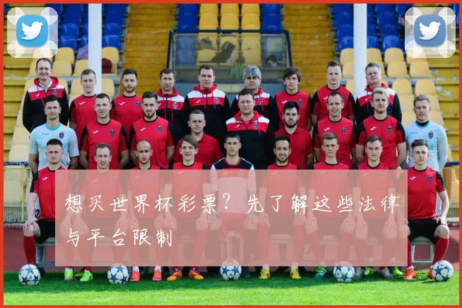 想买世界杯彩票?先了解这些法律与平台限制