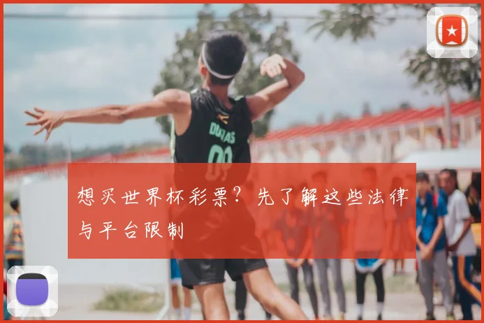 想买世界杯彩票?先了解这些法律与平台限制