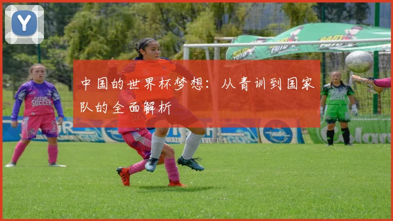 中国的世界杯梦想：从青训到国家队的全面解析