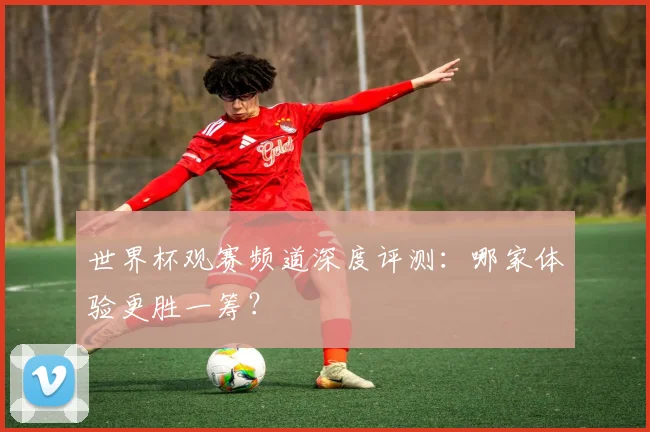 世界杯观赛频道深度评测：哪家体验更胜一筹？