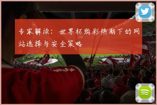 专家解读：世界杯购彩热潮下的网站选择与安全策略