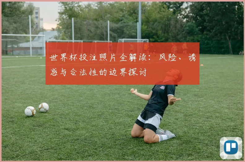 世界杯投注照片全解读：风险、诱惑与合法性的边界探讨
