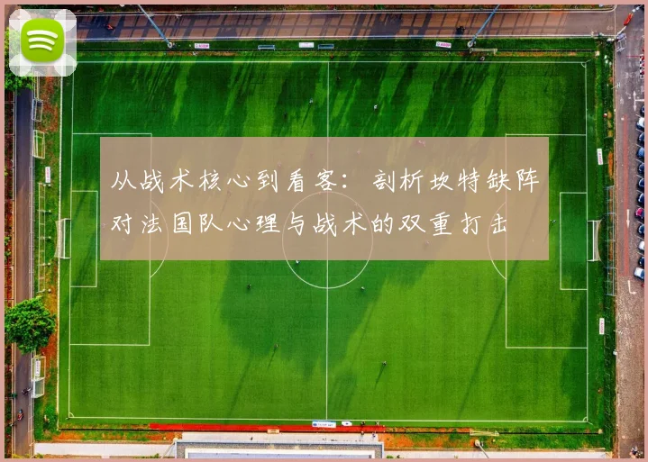 从战术核心到看客：剖析坎特缺阵对法国队心理与战术的双重打击